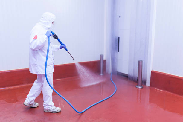 Best House Exterior Washing  in Dover, NJ